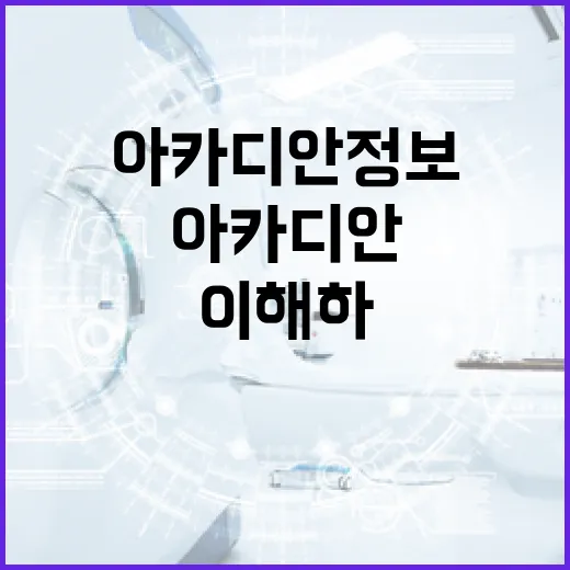 아카디안 정보를 이해하고 활용하는 방법 - 요약