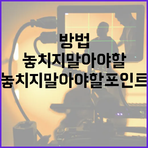 베테랑 2를 즐기는 방법: 놓치지 말아야 할 포인트 - 요약