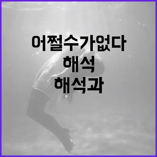 어쩔 수가 없다의 정확한 해석과 활용 방법 - 요약