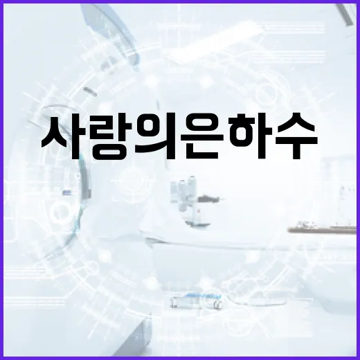 사랑의은하수에 대해 알아보는 방법 - 요약