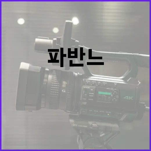 파반느를 이해하고 즐기는 방법 - 요약