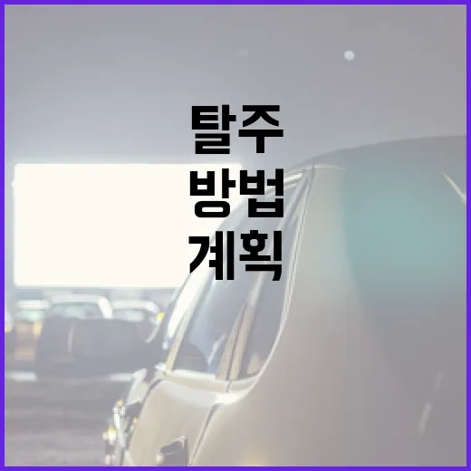 탈주를 안전하게 계획하는 방법 - 요약