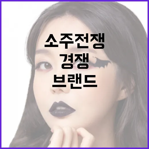 소주전쟁의 비밀: 한국 소주 브랜드의 경쟁을 이해하는 방법 - 요약