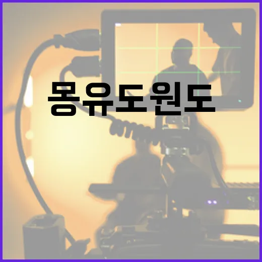 몽유도원도를 감상하는 방법: 역사와 의미 속으로 - 요약