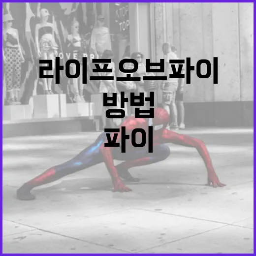 라이프 오브 파이를 이해하는 방법 - 요약