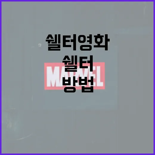 쉘터 영화를 제대로 이해하는 방법 - 요약