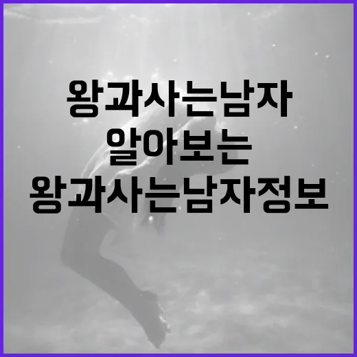 왕과 사는 남자 정보를 알아보는 방법 - 요약