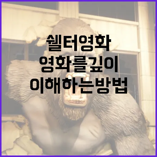 쉘터 영화를 깊이 이해하는 방법 - 요약