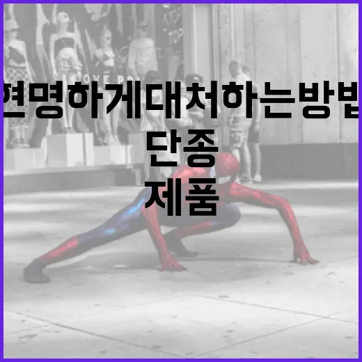 단종된 제품을 현명하게 대처하는 방법 - 요약