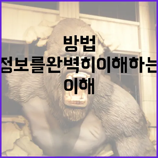 기억의 밤 정보를 완벽히 이해하는 방법 - 요약