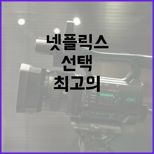 최고의 넷플릭스 콘텐츠를 선택하는 방법 - 요약