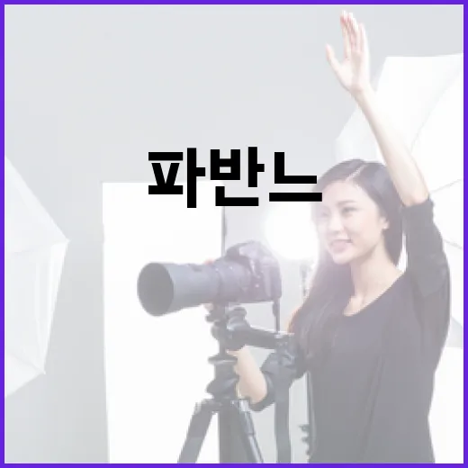 파반느를 이해하고 즐기는 방법 - 요약