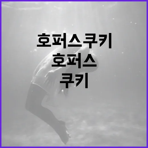 호퍼스 쿠키를 완벽하게 만드는 방법 - 요약