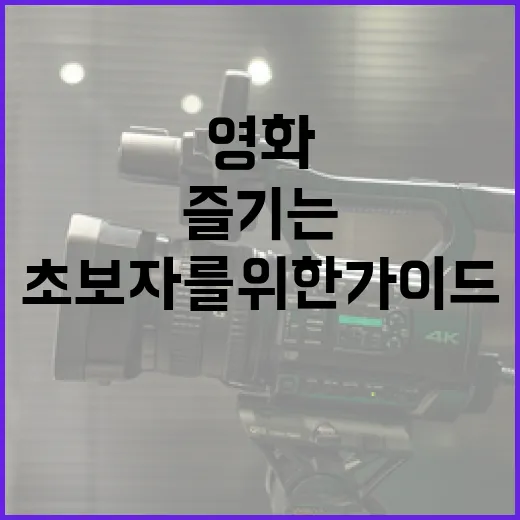 영화 '발레리나'를 즐기는 방법: 초보자를 위한 가이드 - 요약