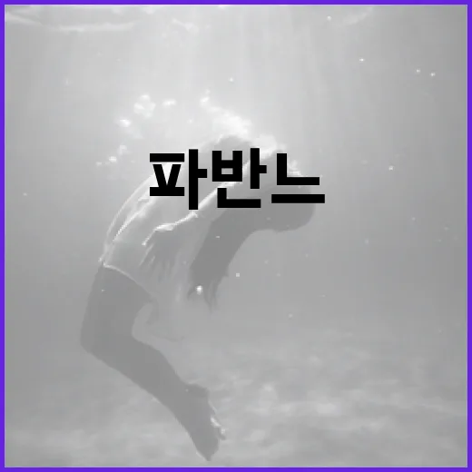 파반느를 이해하고 즐기는 방법 - 요약