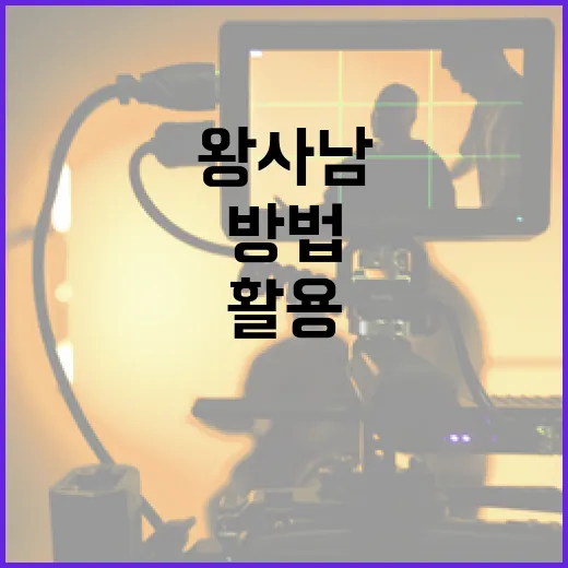 왕사남을 이해하고 활용하는 방법 - 요약