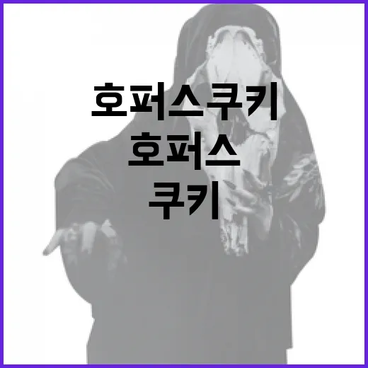 호퍼스 쿠키를 완벽하게 만드는 방법 - 요약