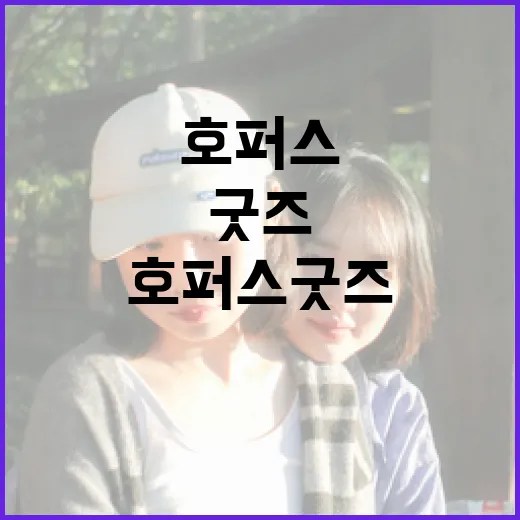 호퍼스 굿즈를 활용하는 방법 - 요약