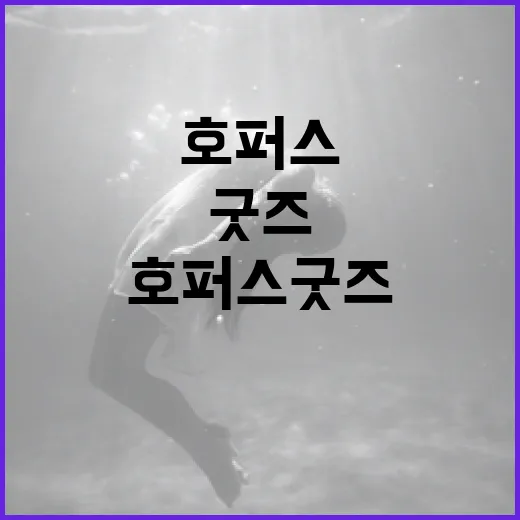 호퍼스 굿즈를 활용해 스타일링하는 방법 - 요약