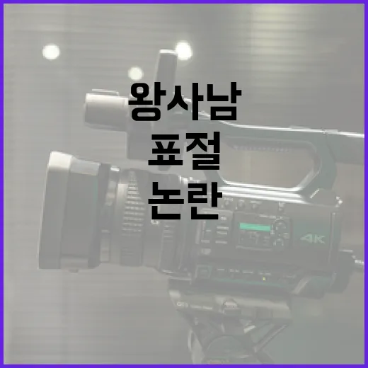 왕사남 표절 논란을 이해하는 방법 - 요약