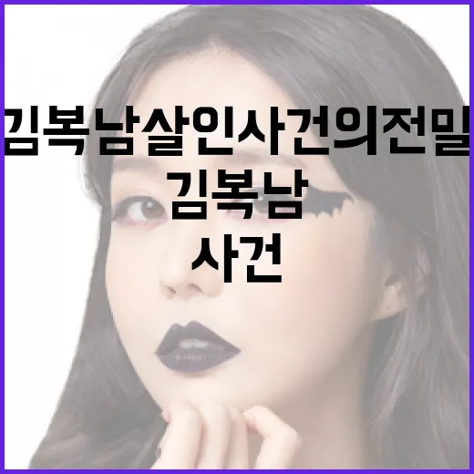 김복남 살인사건의 전말을 이해하는 방법 - 요약