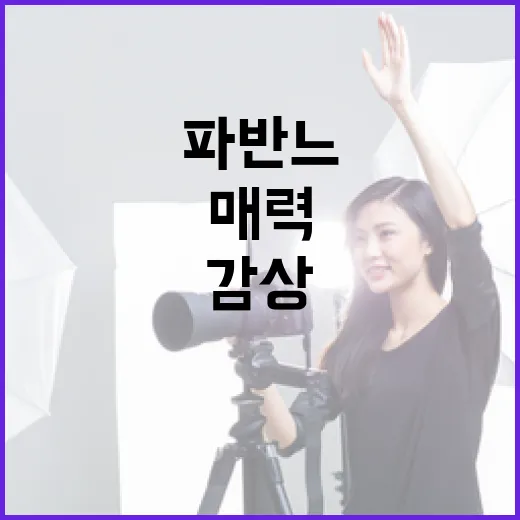 파반느의 매력을 이해하고 감상하는 방법 - 요약