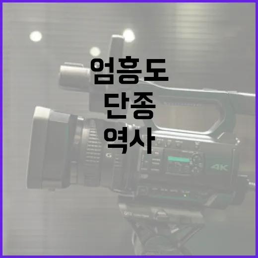 단종 엄흥도의 역사를 이해하는 방법 - 요약