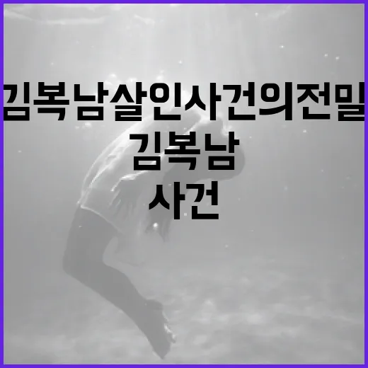 김복남 살인사건의 전말을 이해하는 방법