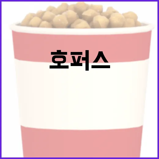 호퍼스를 효과적으로 즐기는 방법 - 요약