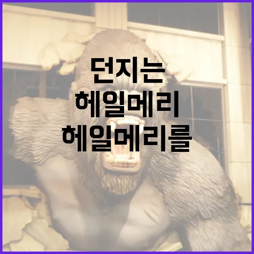 헤일메리를 성공적으로 던지는 방법 - 요약