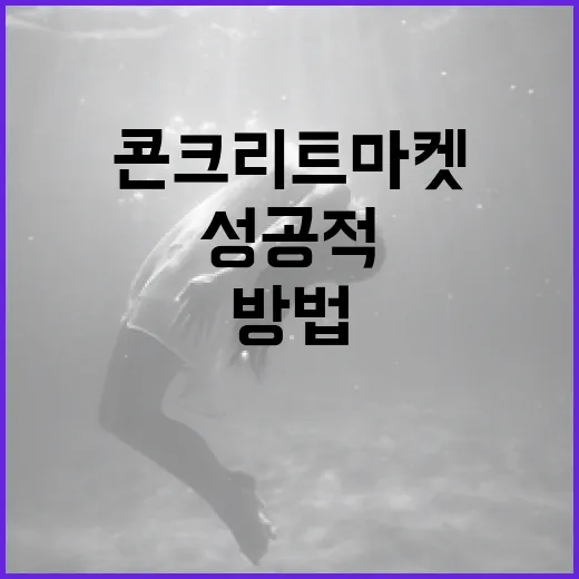 콘크리트 마켓에서 성공적으로 구매하는 방법 - 요약