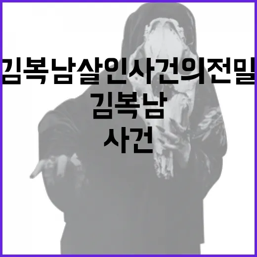 김복남 살인사건의 전말을 이해하는 방법 - 요약