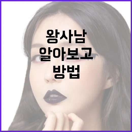 왕사남에 대해 알아보고 활용하는 방법 - 요약