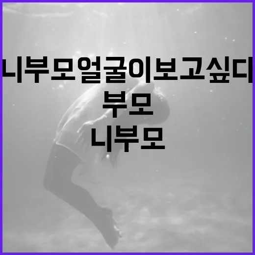 ‘니 부모 얼굴이 보고싶다’라는 표현 이해하기 - 요약