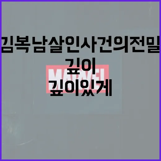 김복남 살인사건의 전말을 깊이 있게 이해하는 방법 - 요약