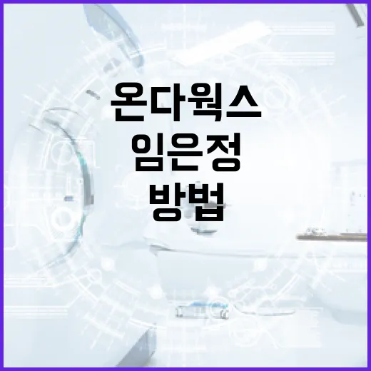 임은정과 온다웍스를 이해하는 방법 - 요약