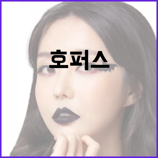 호퍼스를 효과적으로 사용하는 방법 - 요약