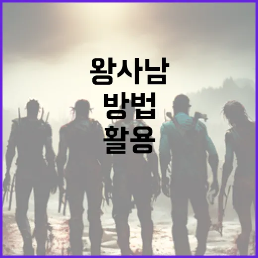 왕사남을 이해하고 활용하는 방법 - 요약