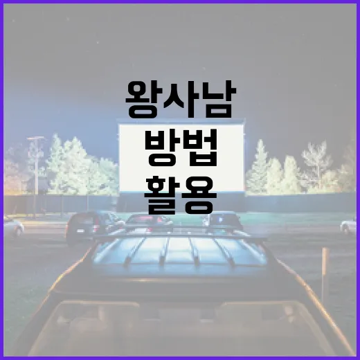 왕사남을 이해하고 활용하는 방법 - 요약