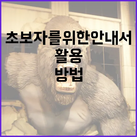나철을 이해하고 활용하는 방법: 초보자를 위한 안내서 - 요약