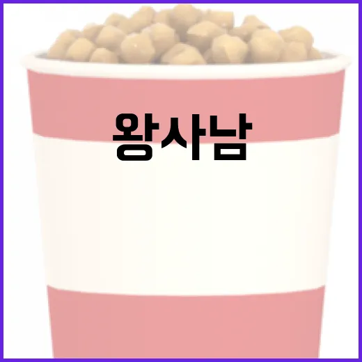 왕사남을 알아보고 활용하는 방법 - 요약