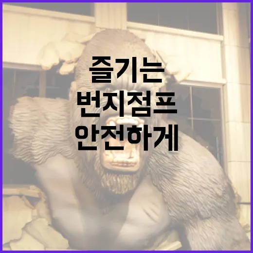 번지점프를 안전하게 즐기는 방법 - 요약