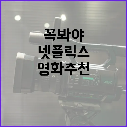 넷플릭스에서 꼭 봐야 할 영화 추천 방법 - 요약