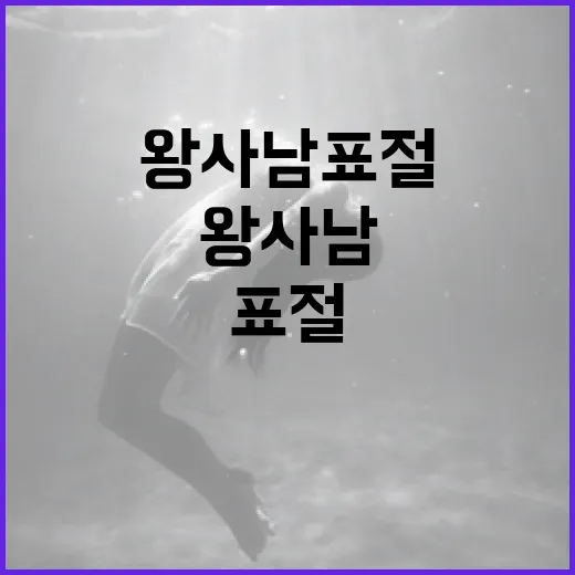 왕사남 표절 사건 이해하기: 개념과 사례 - 요약