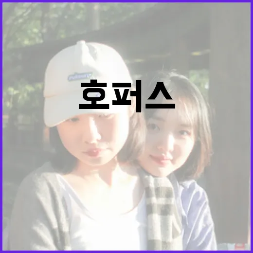 호퍼스를 효과적으로 사용하는 방법 - 요약