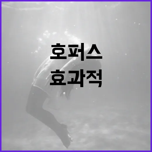 호퍼스를 효과적으로 활용하는 방법 - 요약