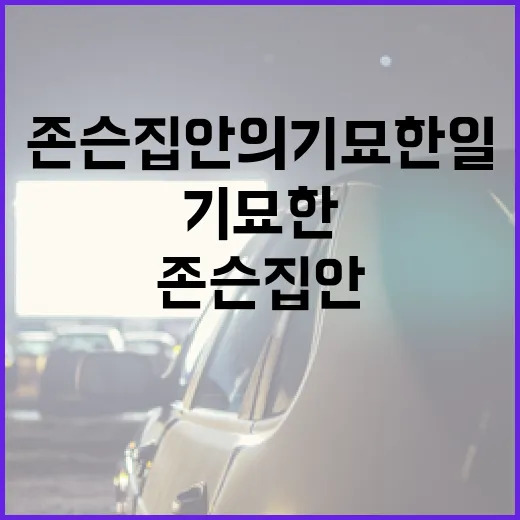 존슨 집안의 기묘한 일을 이해하는 방법 - 요약