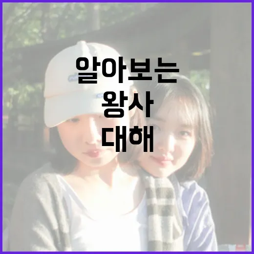 왕사남에 대해 알아보는 방법 - 요약