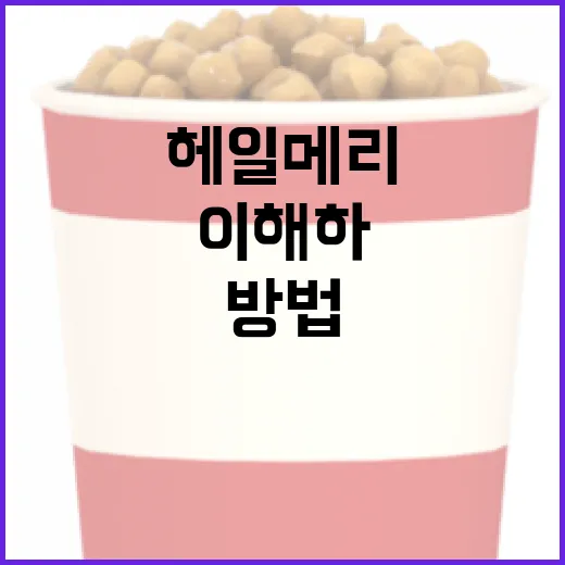 헤일메리를 이해하고 활용하는 방법 - 요약