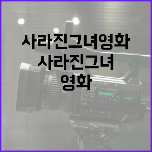 사라진 그녀 영화를 이해하는 방법 - 요약